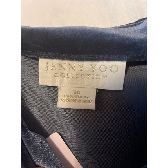 Jenny Yoo Collection NWT Plus Size Formal Crush Velvet Blue Size 26 Dress - Picture 4 of 9
